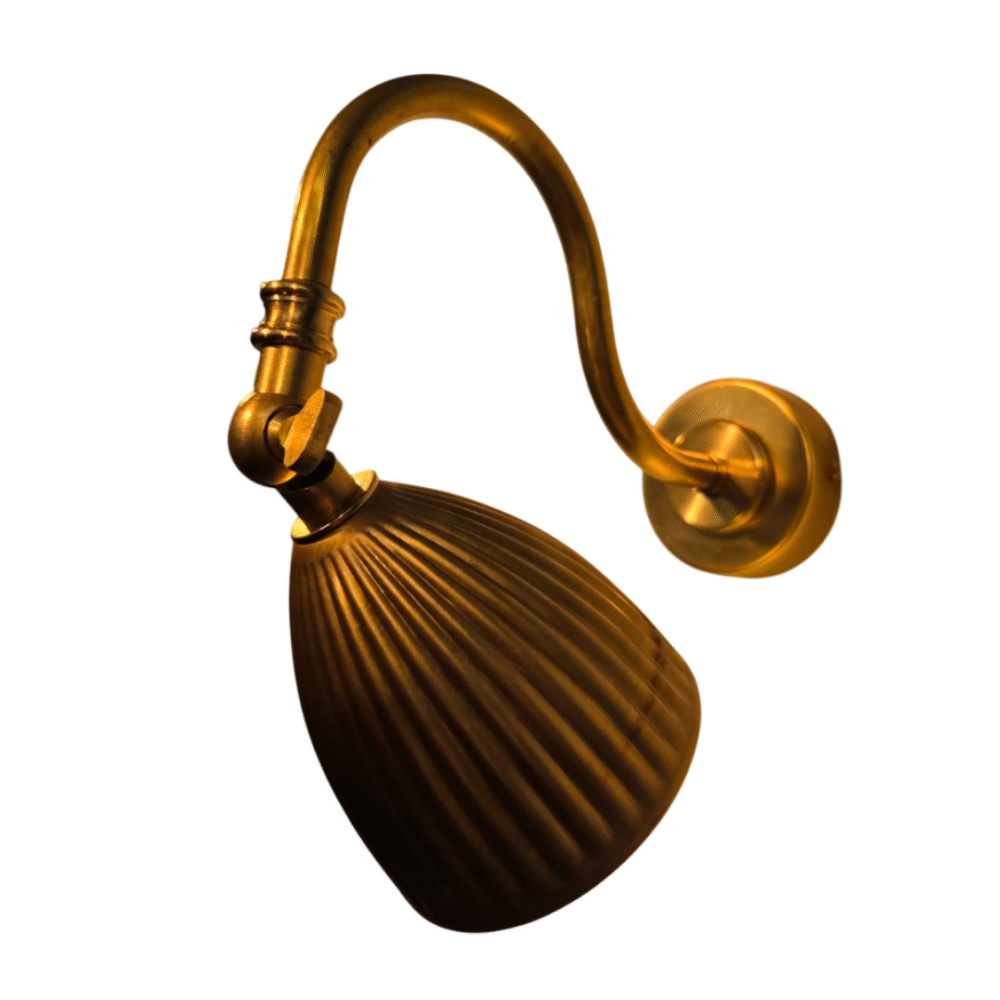 Raw Brass & Antique Brass Twin Arm Picture Light Picture Lights